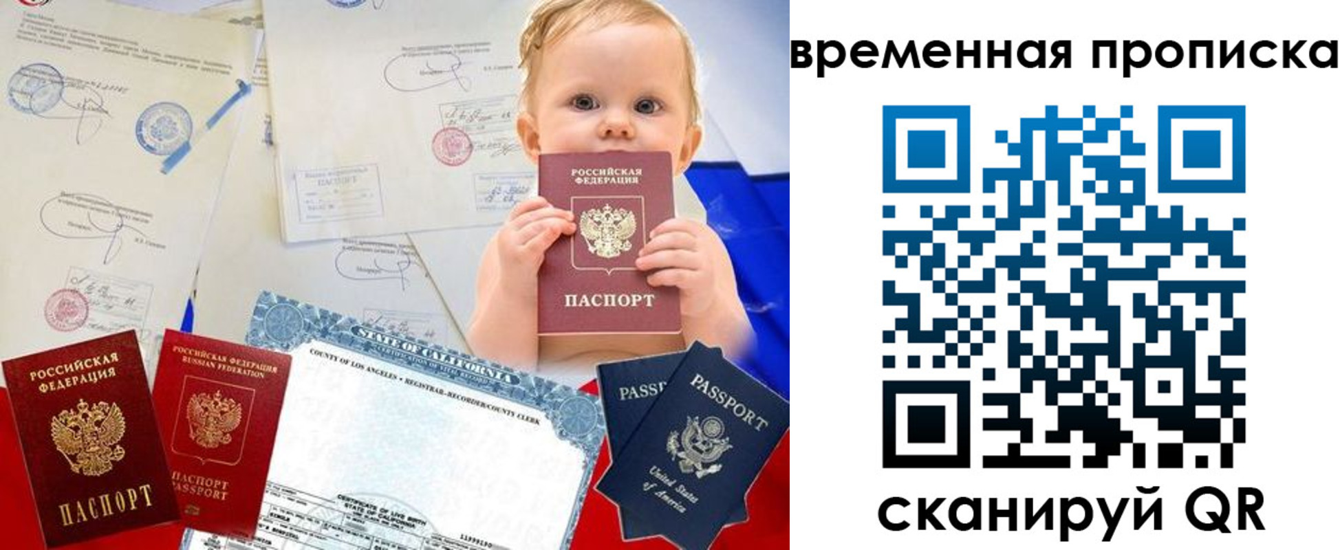 прописка для работы в Жукове